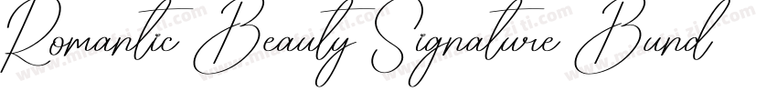Romantic Beauty Signature Bundle字体转换